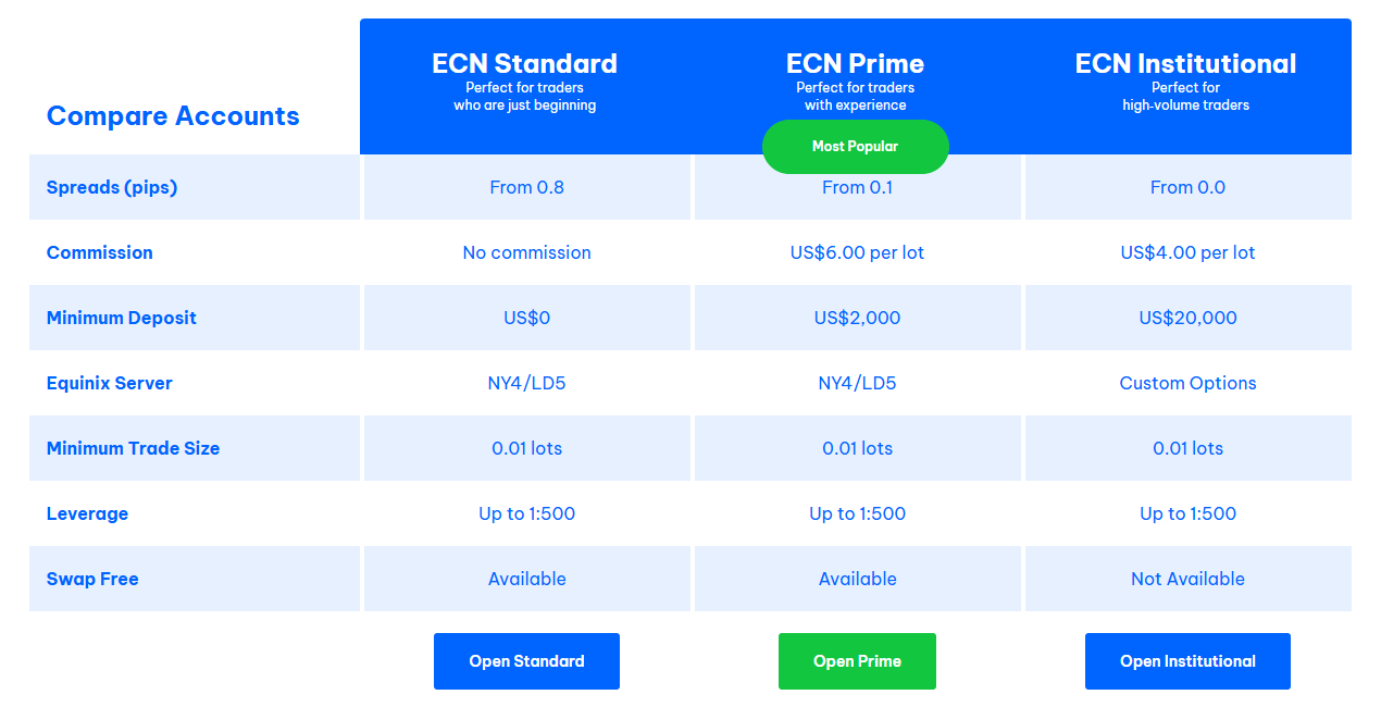 Blackbull markets account types