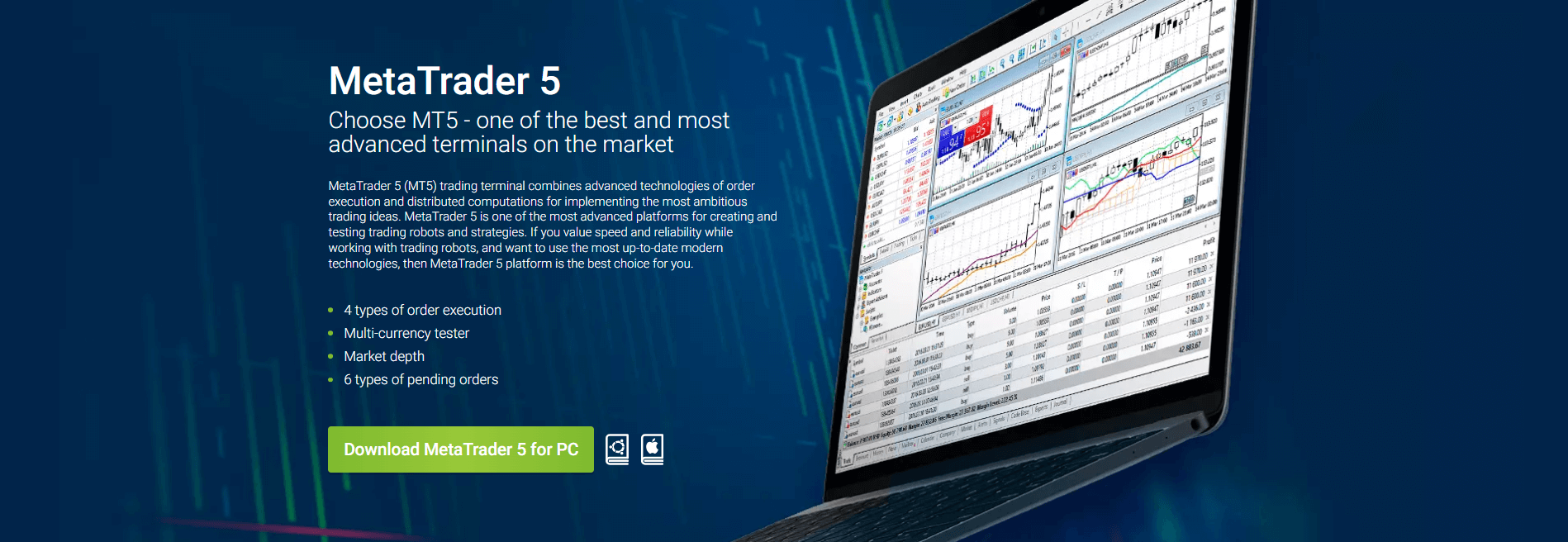 roboforex plat