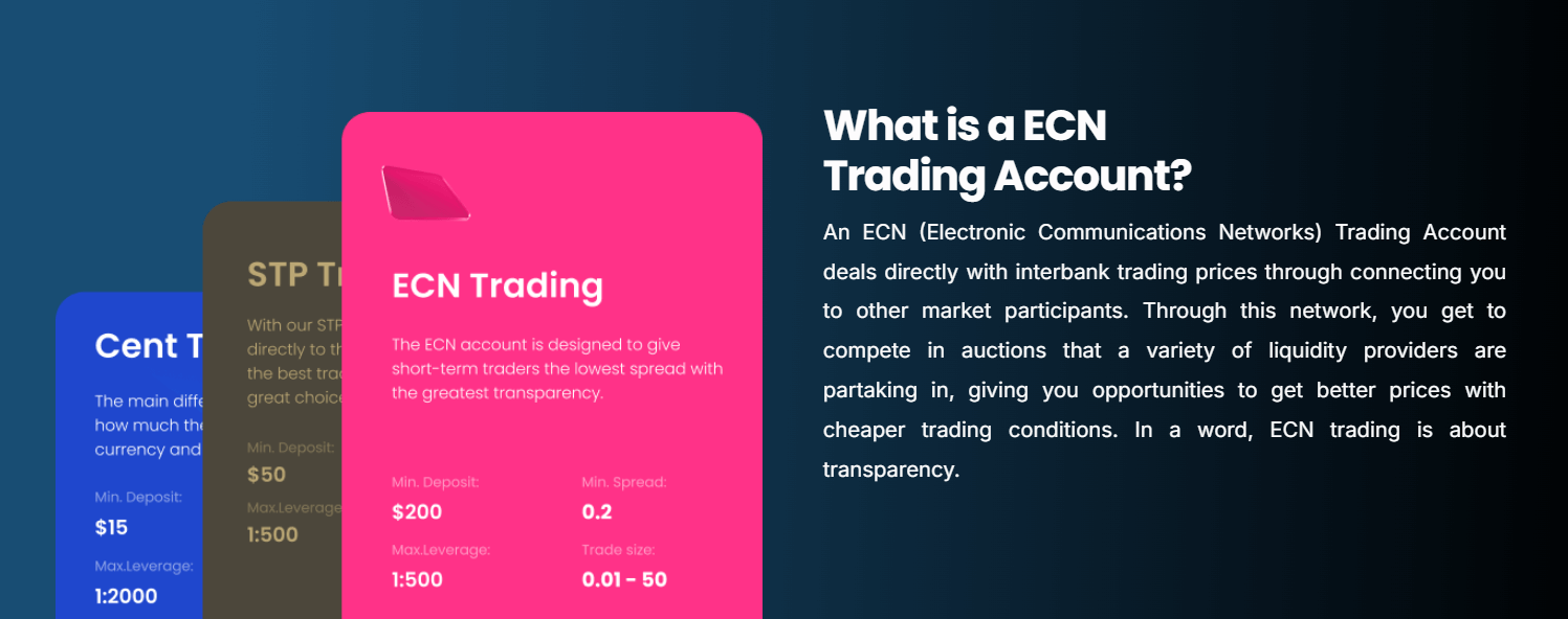 Traze account types