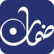 Daman Markets logo
