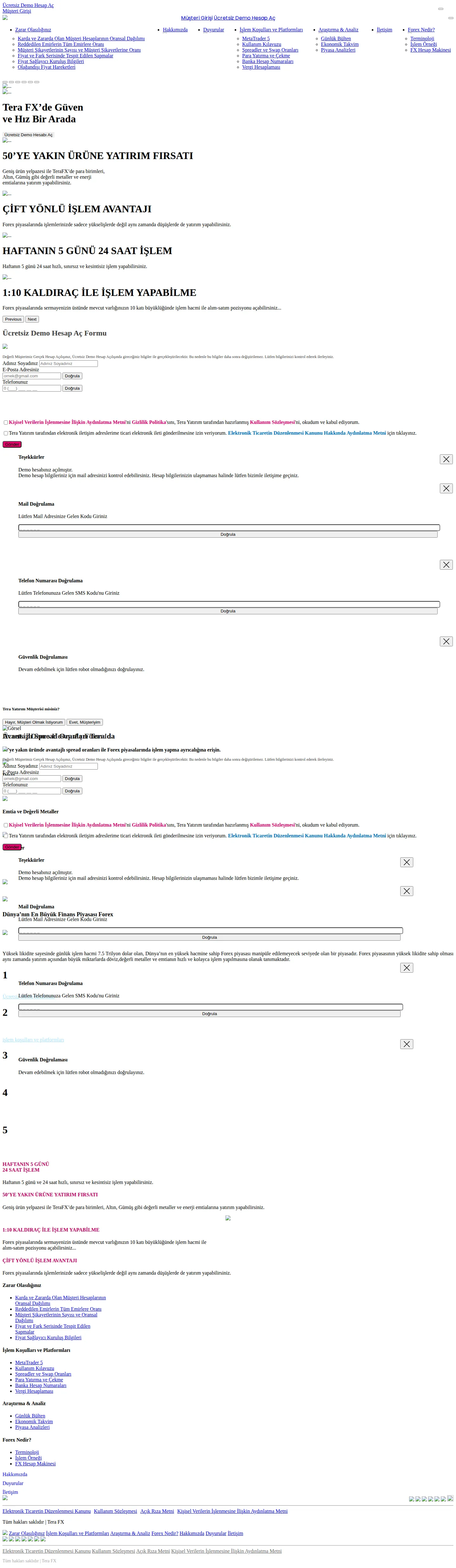 TeraFX AE root page as we captured it